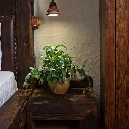 فندق مبيت وإفطار Halasi Pince Panzio