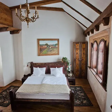 Halasi Pince Panzio فندق مبيت وإفطار فيلاني