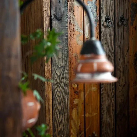 Halasi Pince Panzio 4* فيلاني