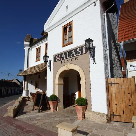 Halasi Pince Panzio فندق مبيت وإفطار فيلاني