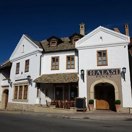 Halasi Pince Panzio Villany