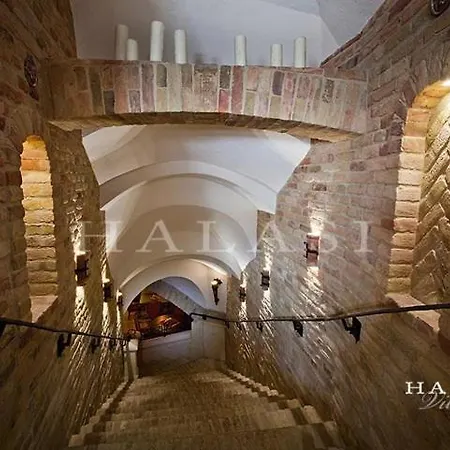 Halasi Pince Panzio 3* Villany