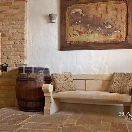 Halasi Pince Panzio Couette-café 4*