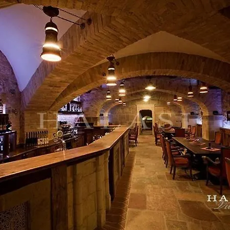 فندق مبيت وإفطار Halasi Pince Panzio 4*