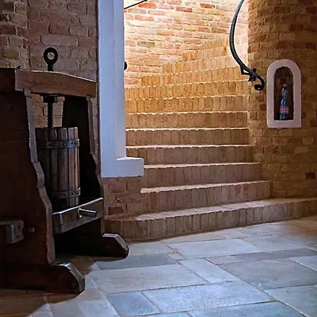 Halasi Pince Panzio 4* Villány