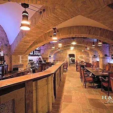 Bed and Breakfast Halasi Pince Panzio