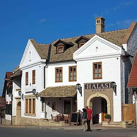 Halasi Pince Panzio