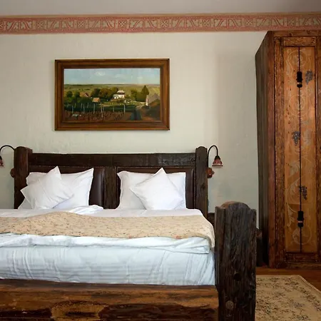 فندق مبيت وإفطار Halasi Pince Panzio