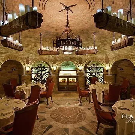 Halasi Pince Panzio فندق مبيت وإفطار