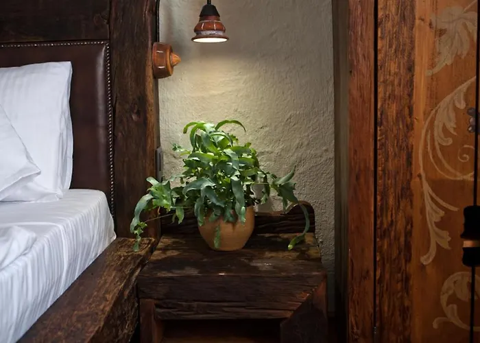 Bed & Breakfast Halasi Pince Panzio