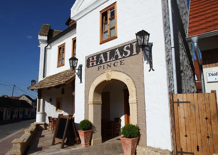 Halasi Pince Panzio Bed & Breakfast Villány
