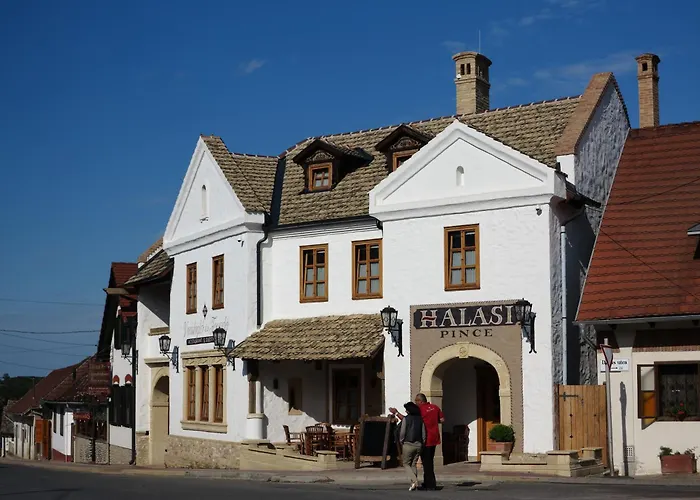 Bed & Breakfast Halasi Pince Panzio Villány