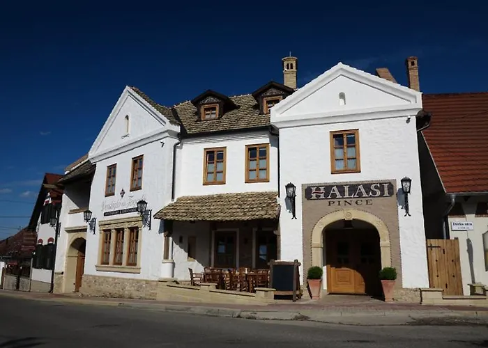 Halasi Pince Panzio Villány