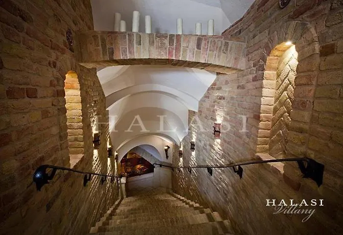 Halasi Pince Panzio 4* Villány